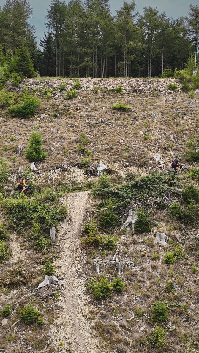 Widok z drona na singletrack przez wyrąb, dwóch kolarzy na zboczu